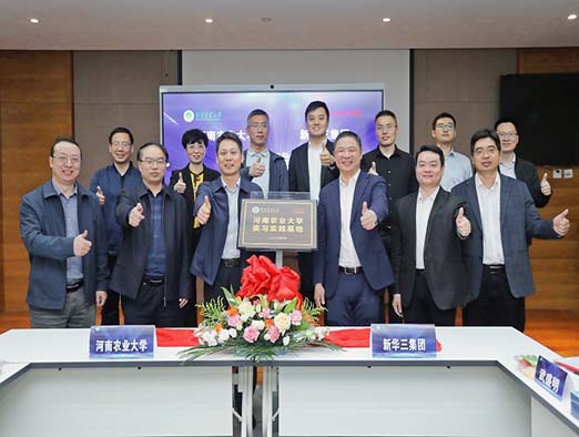 图片1.jpg 在线纸牌