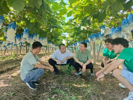 图片51.png 在线纸牌