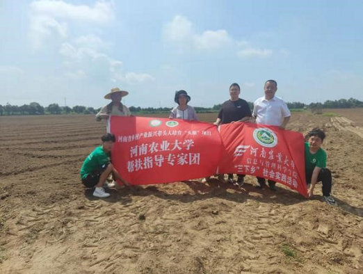 图片46.png 在线纸牌