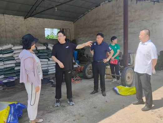 图片44.png 在线纸牌