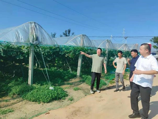 图片50.png 在线纸牌