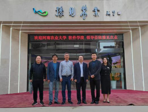 image.png 在线纸牌