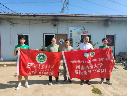 图片49.png 在线纸牌