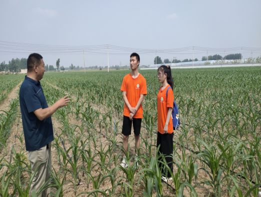 1627494270392086231.jpg 在线纸牌