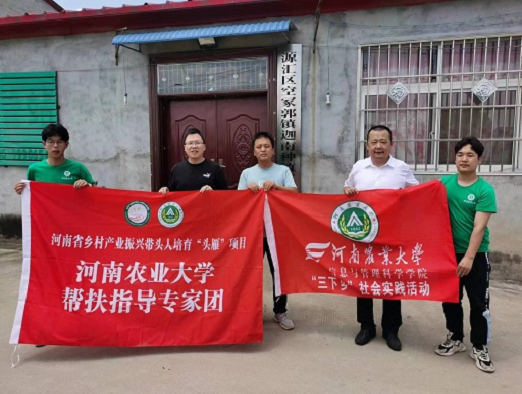 图片47.png 在线纸牌