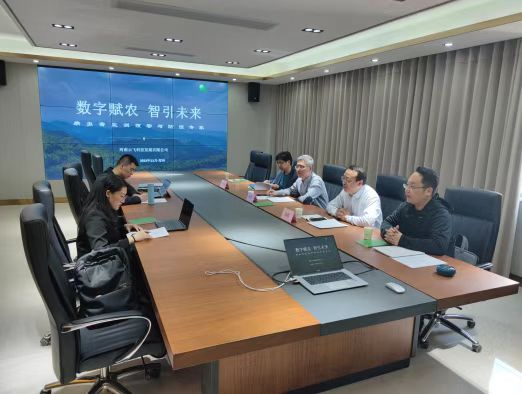 image.png 在线纸牌