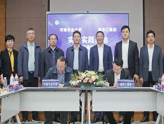 图片2.jpg 在线纸牌