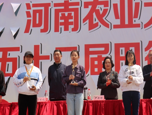 1618980118924094982.jpg 在线纸牌