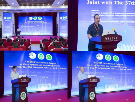 无标题.png 在线纸牌