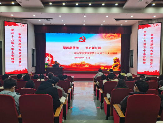 1608838263063090333.jpg 在线纸牌