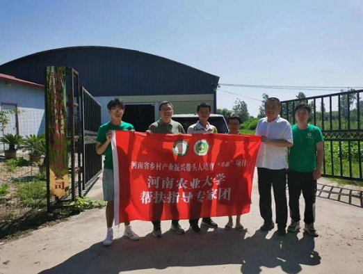 图片53.png 在线纸牌